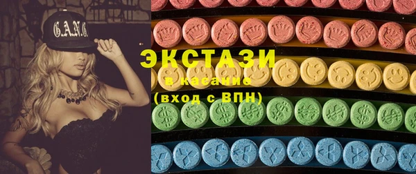 ECSTASY Бородино