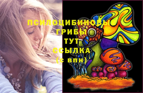 гидропоника Лихославль
