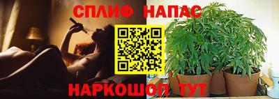 мяу мяу мука Балашиха