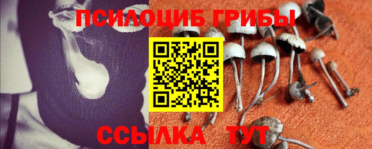 Псилоцибиновые грибы GOLDEN TEACHER Железноводск