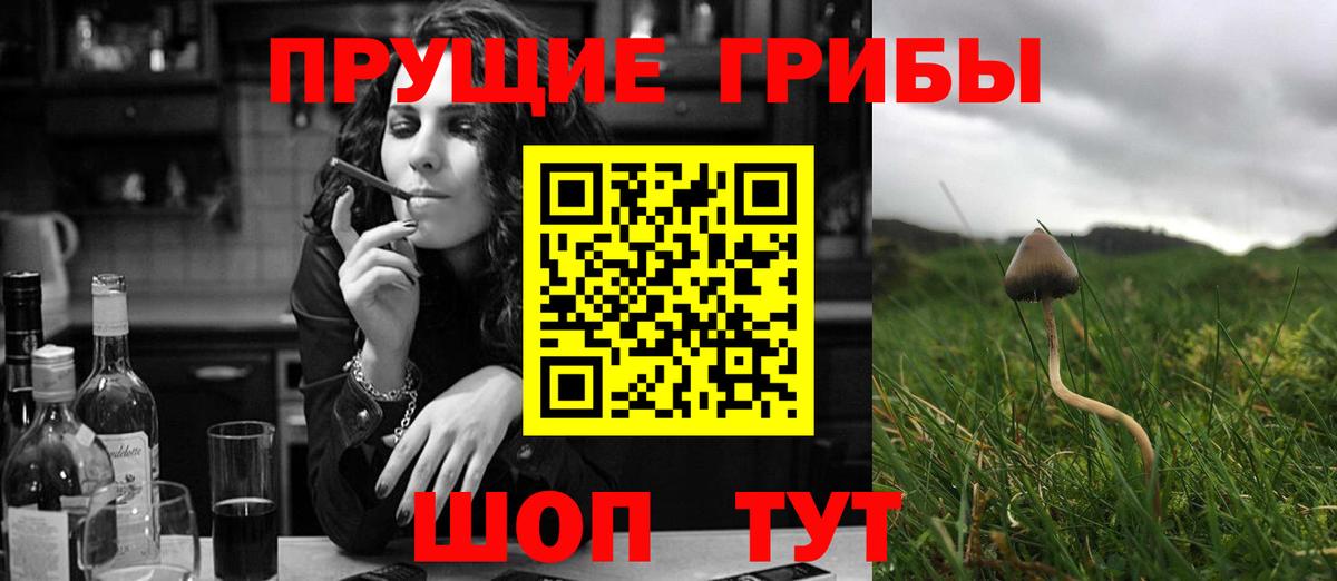 закладка  Железноводск  Псилоцибиновые грибы мухоморы  Псилоцибиновые грибы Cubensis 